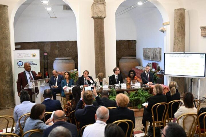 Italia e Ghana intensificano la cooperazione su formazione professionale e occupazione giovanile