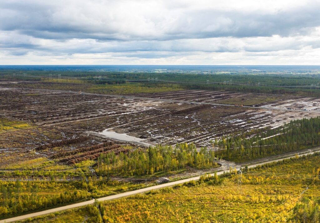 La Finlandia avvia un'indagine su Google per disboscamento illegale per data center a Muhos