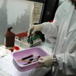 Morta scienziata di 28 anni in laboratorio di peste in Siberia: indagini in corso