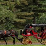 New York approva il divieto delle carrozze con i cavalli a Central Park dal 2028