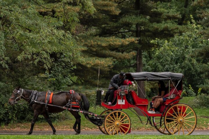 New York approva il divieto delle carrozze con i cavalli a Central Park dal 2028