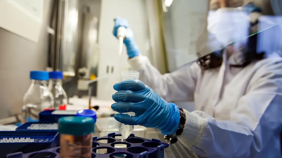 Primo caso umano di contagio da virus Shamonda registrato in Francia