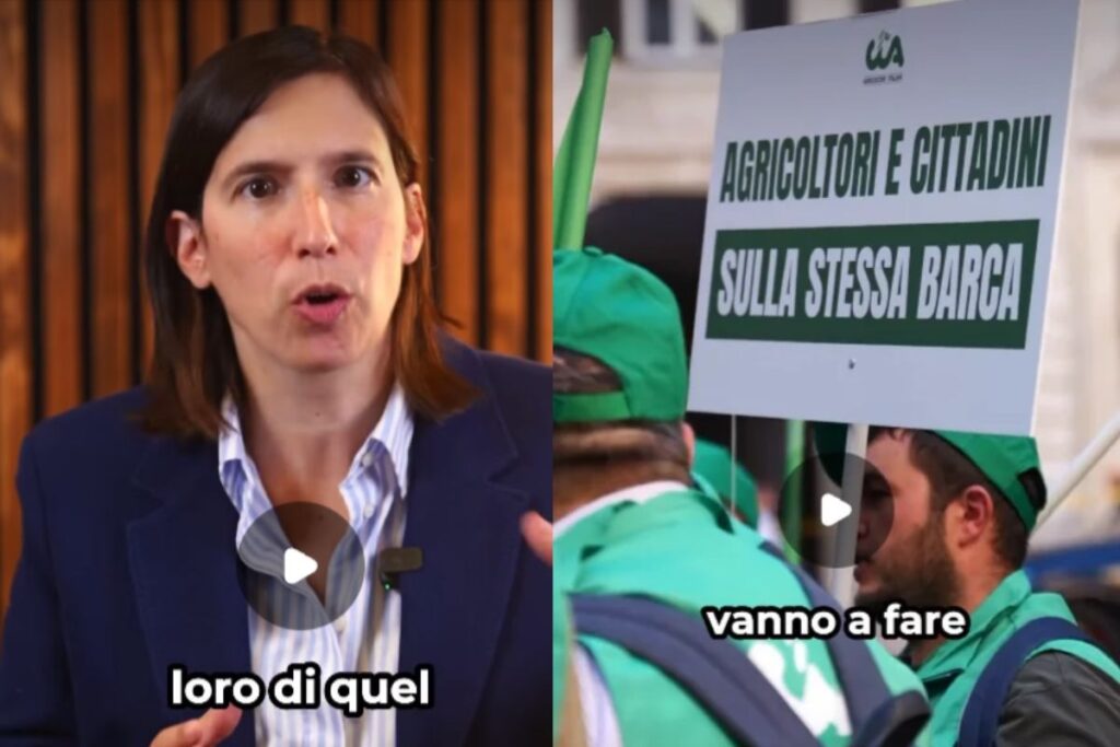 Schlein critica Meloni: «Si concentri sui problemi reali dell'Italia»