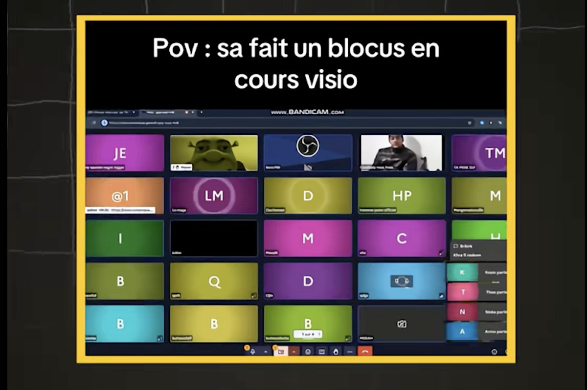Studenti francesi sabotano la didattica a distanza con videochiamate anarchiche